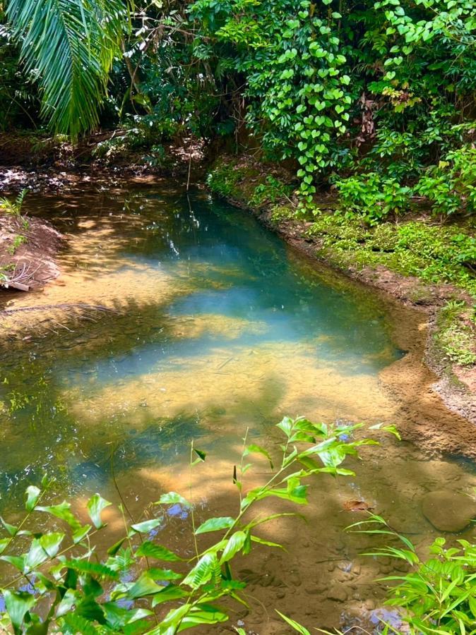 Khao Sok Silver Cliff